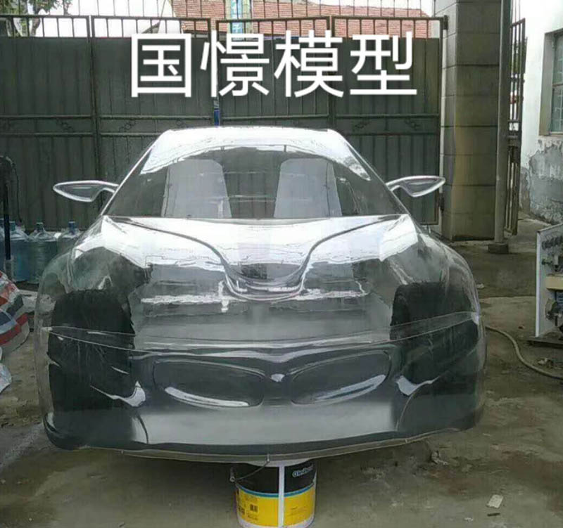 黎川县透明车模型